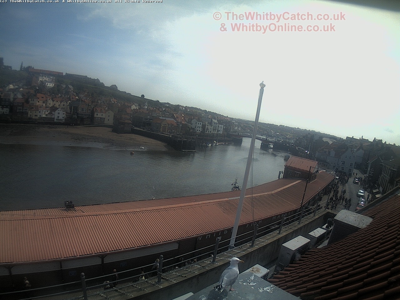 Whitby Sun 30th April 2017 13:05.