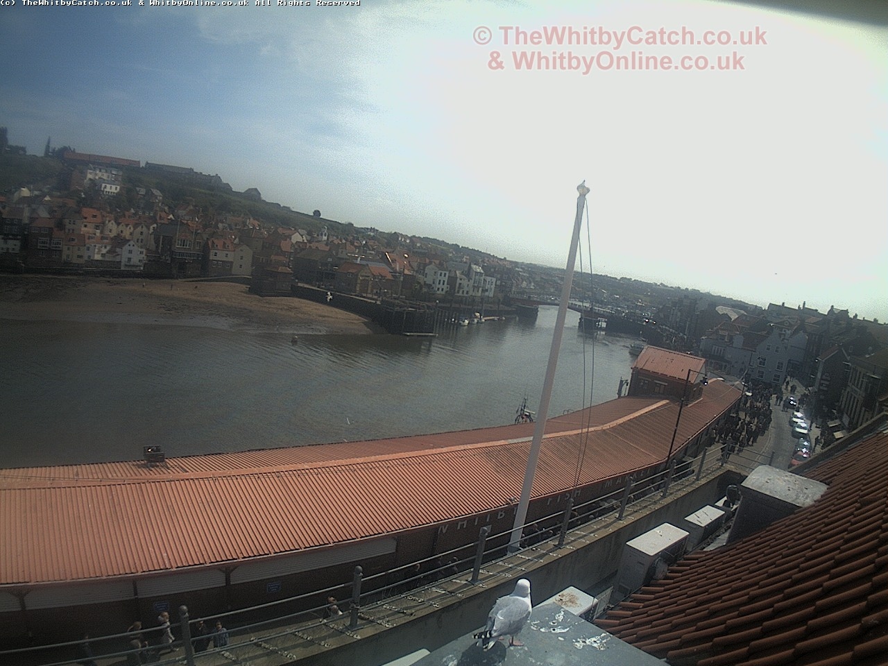 Whitby Sun 30th April 2017 13:07.