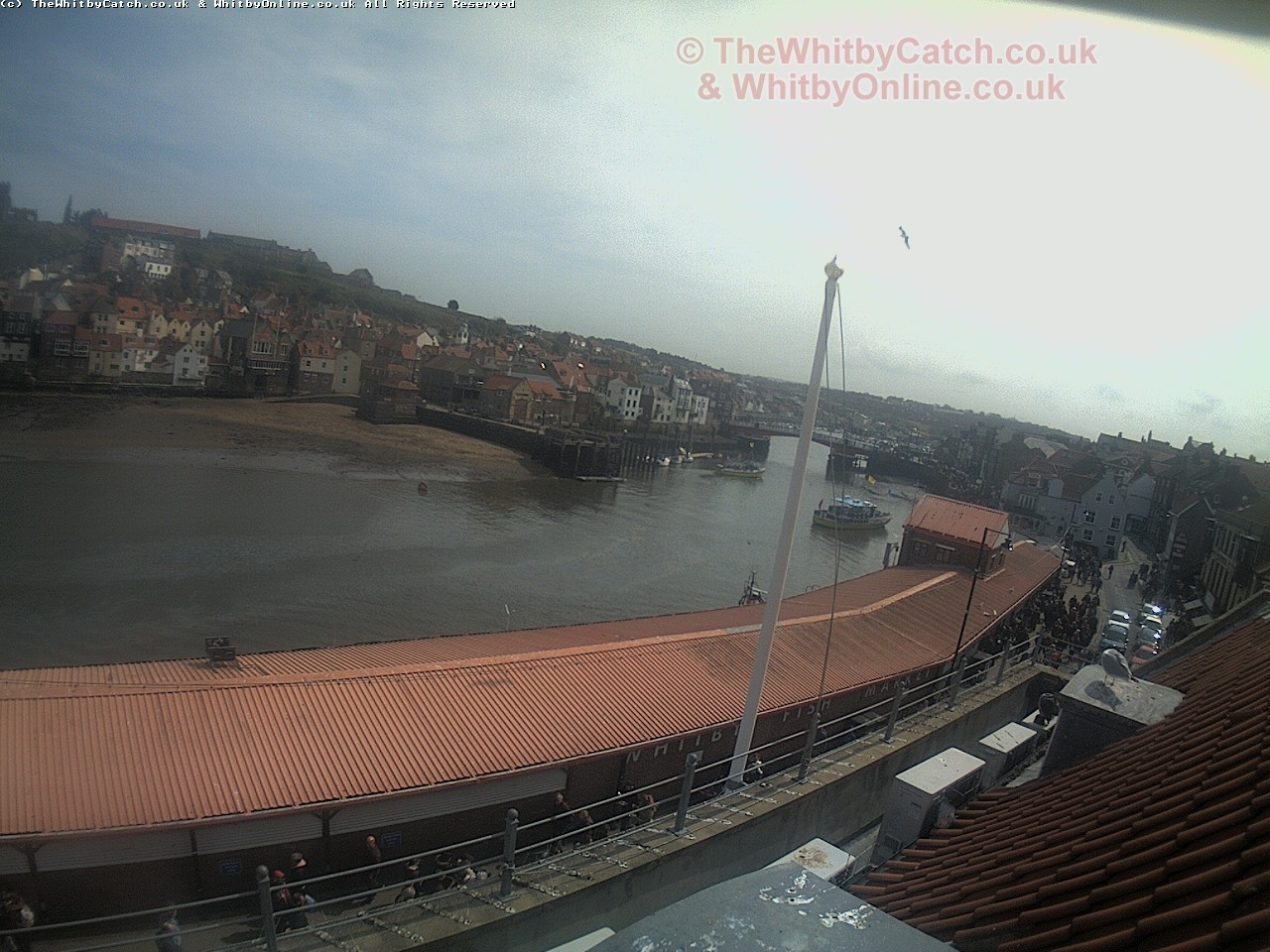 Whitby Sun 30th April 2017 13:35.