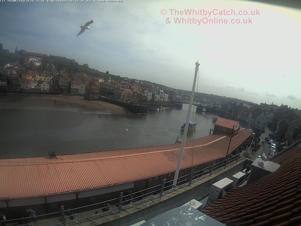 Whitby Sun 30th April 2017 13:37.