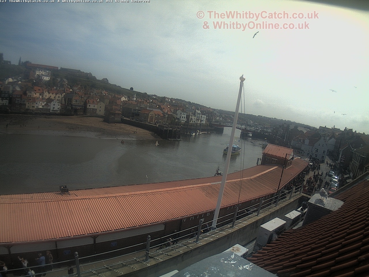 Whitby Sun 30th April 2017 13:38.