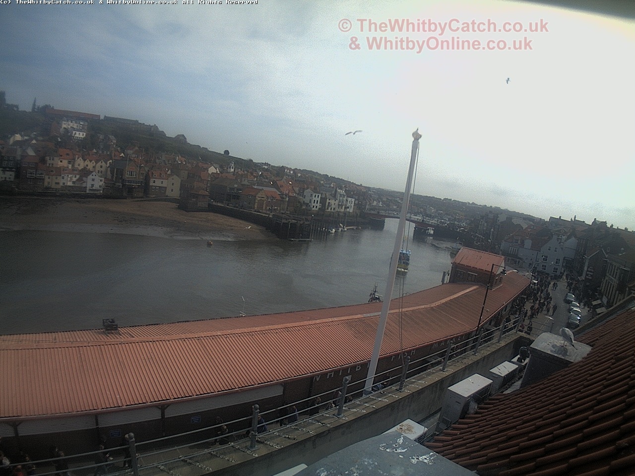 Whitby Sun 30th April 2017 13:41.