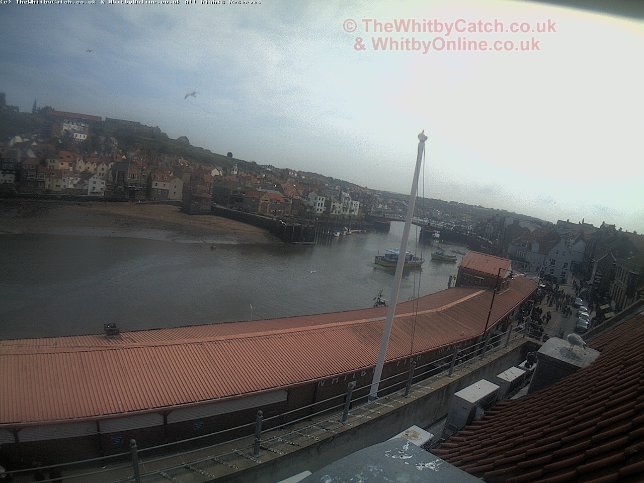 Whitby Sun 30th April 2017 13:42.