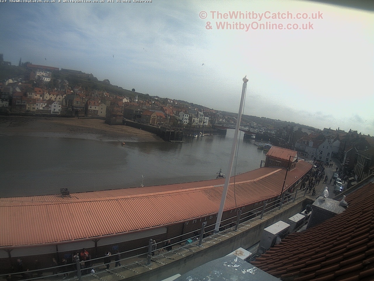 Whitby Sun 30th April 2017 13:53.