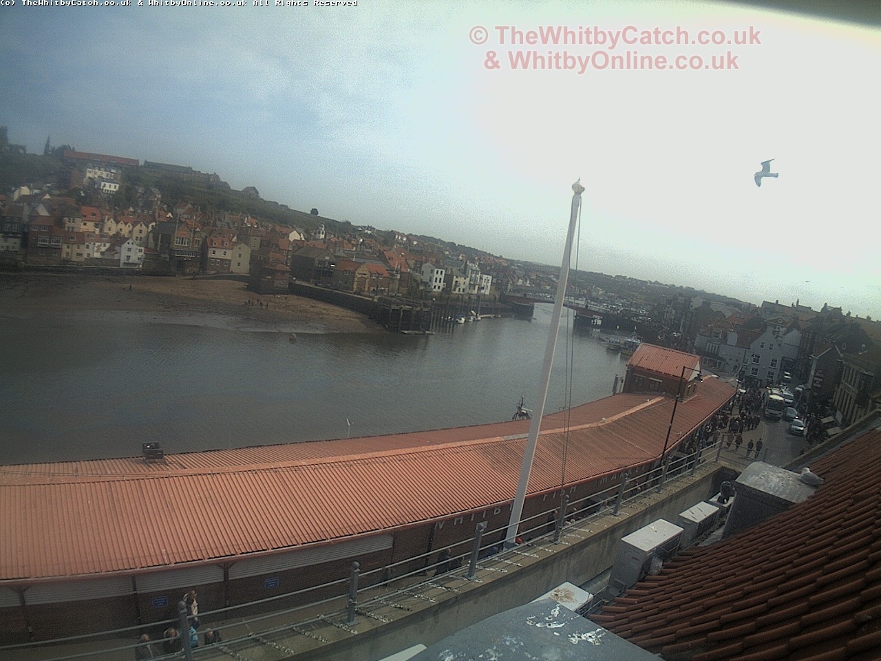 Whitby Sun 30th April 2017 14:11.