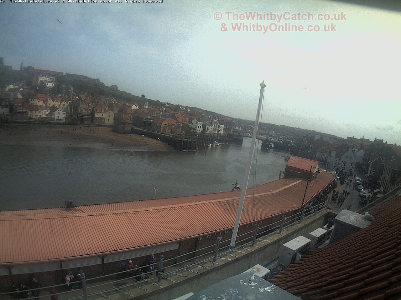 Whitby Sun 30th April 2017 14:17.