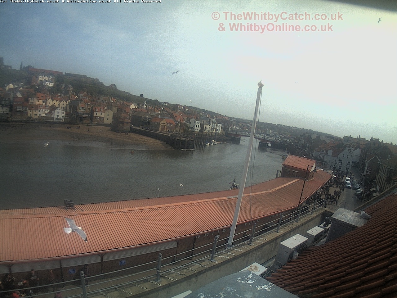 Whitby Sun 30th April 2017 14:22.