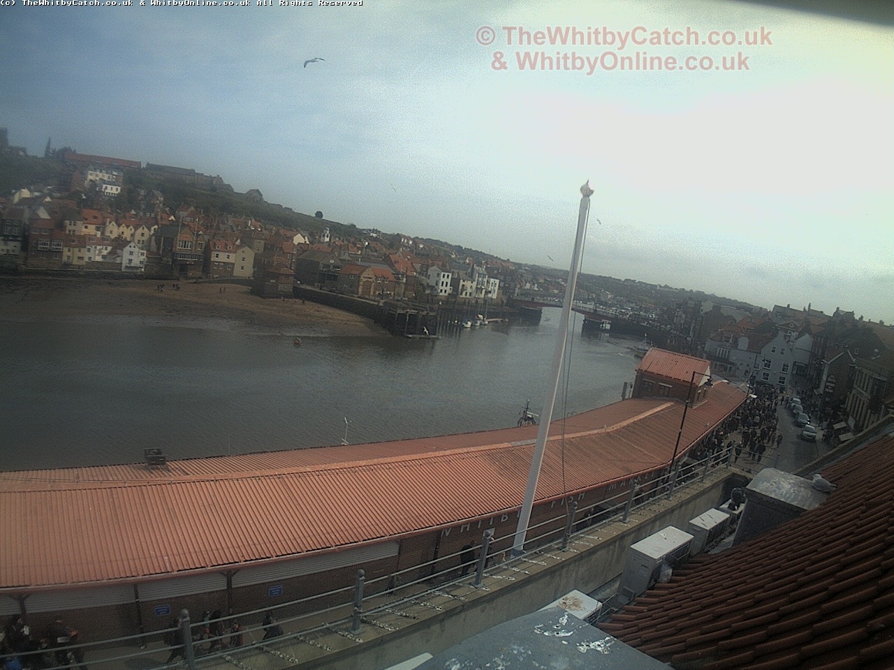 Whitby Sun 30th April 2017 14:26.