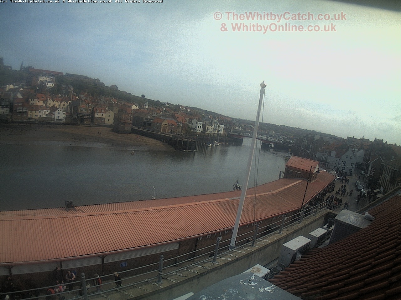 Whitby Sun 30th April 2017 14:30.