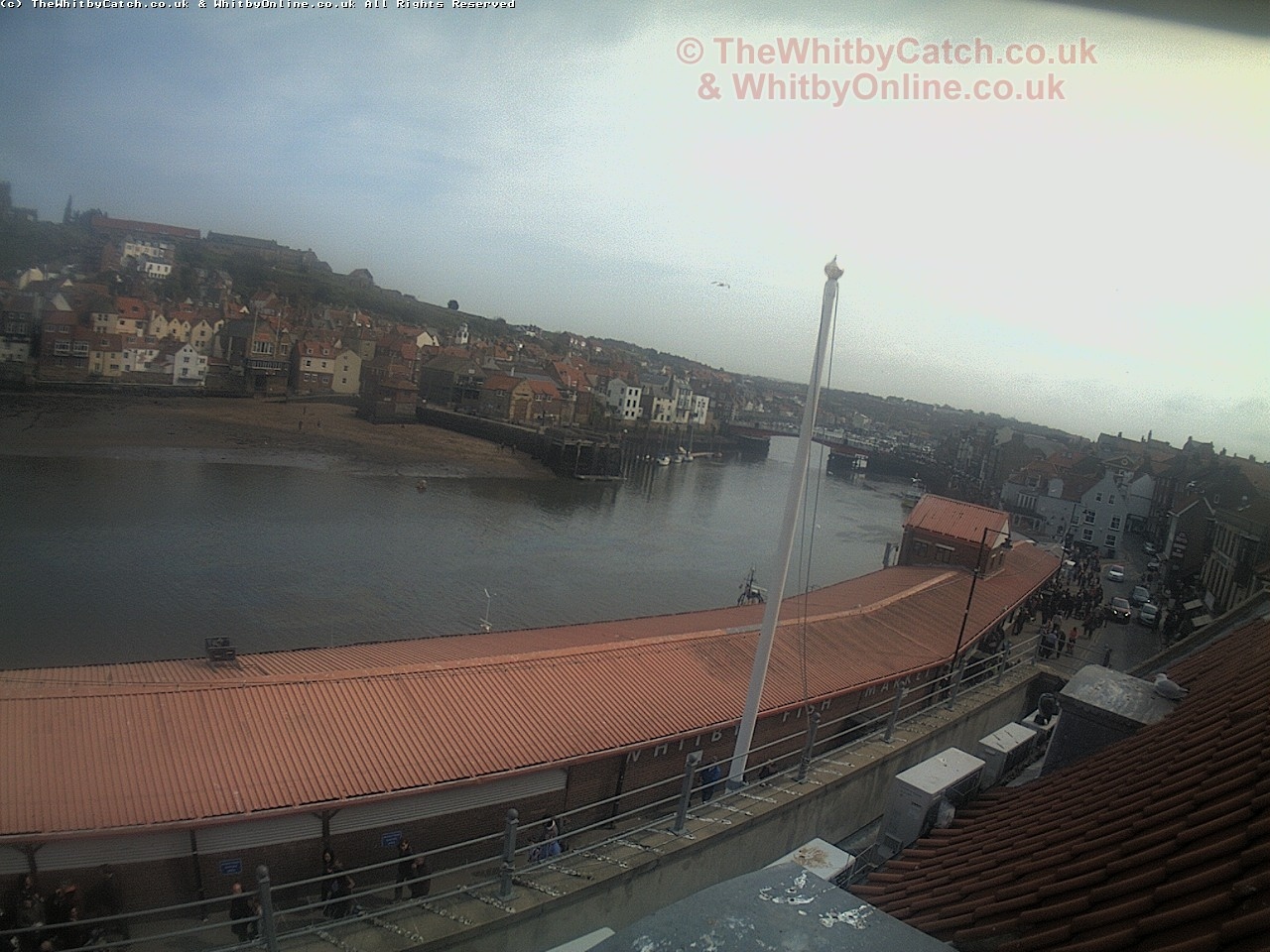 Whitby Sun 30th April 2017 14:31.