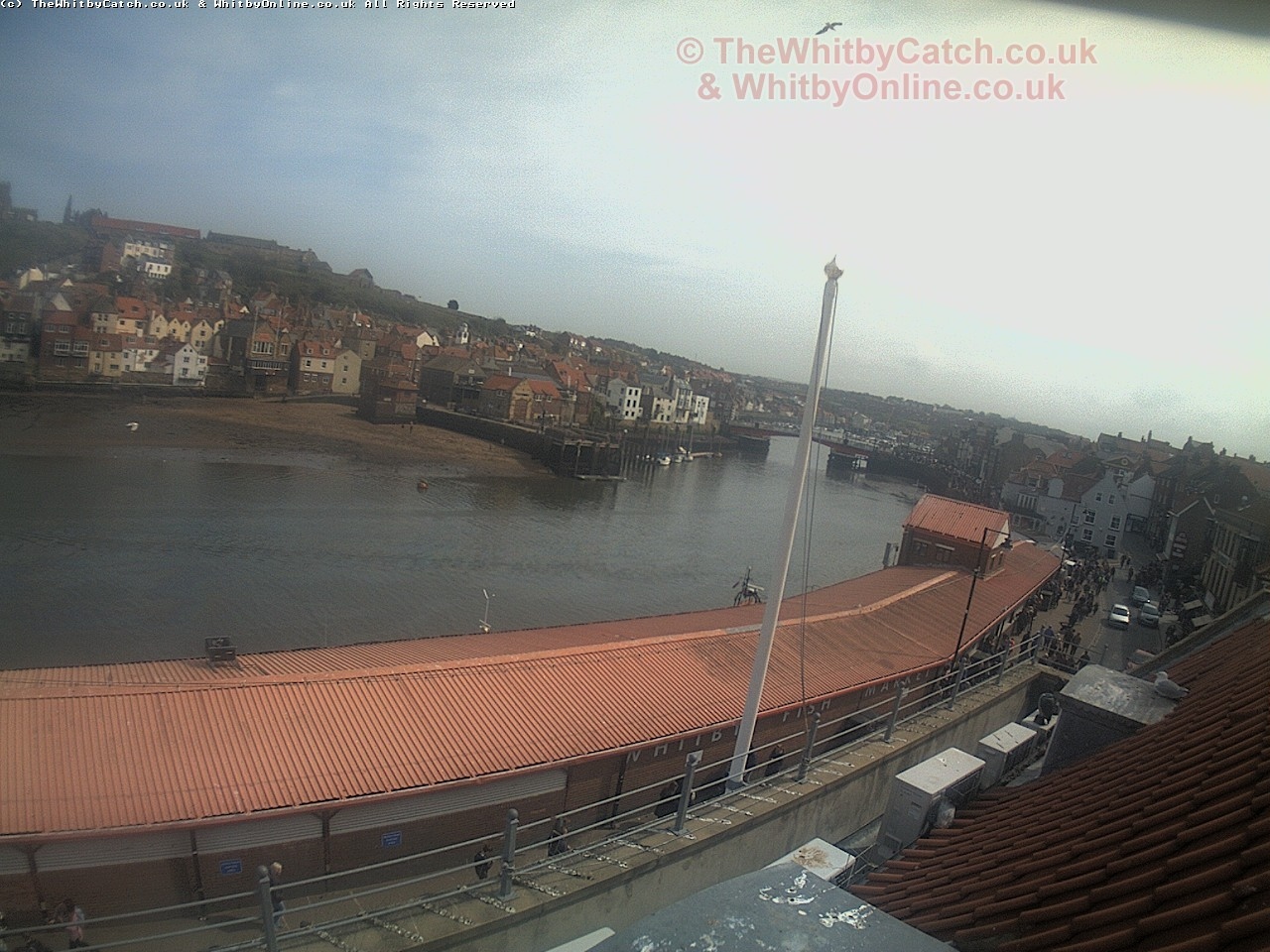 Whitby Sun 30th April 2017 14:34.