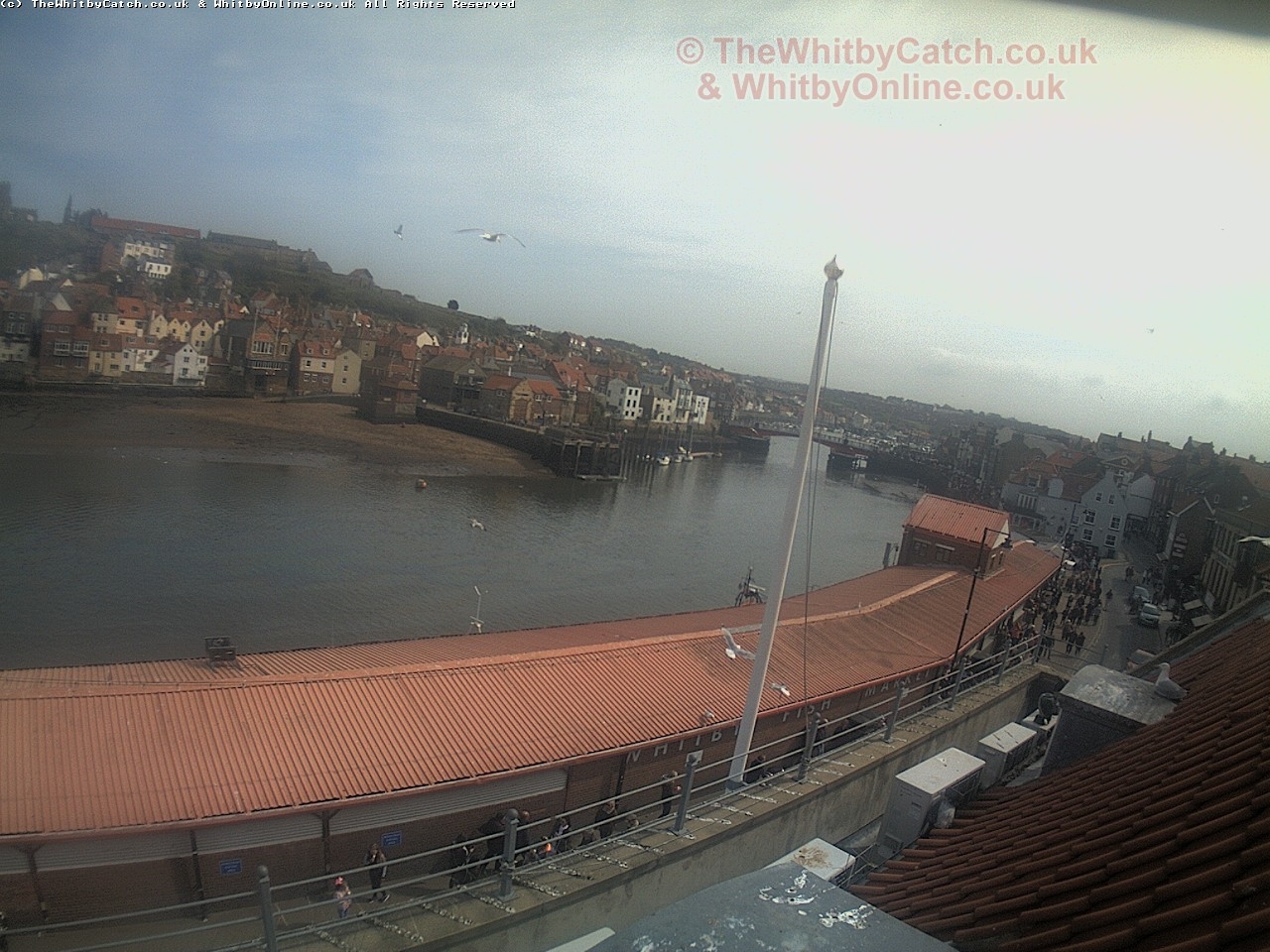 Whitby Sun 30th April 2017 14:36.