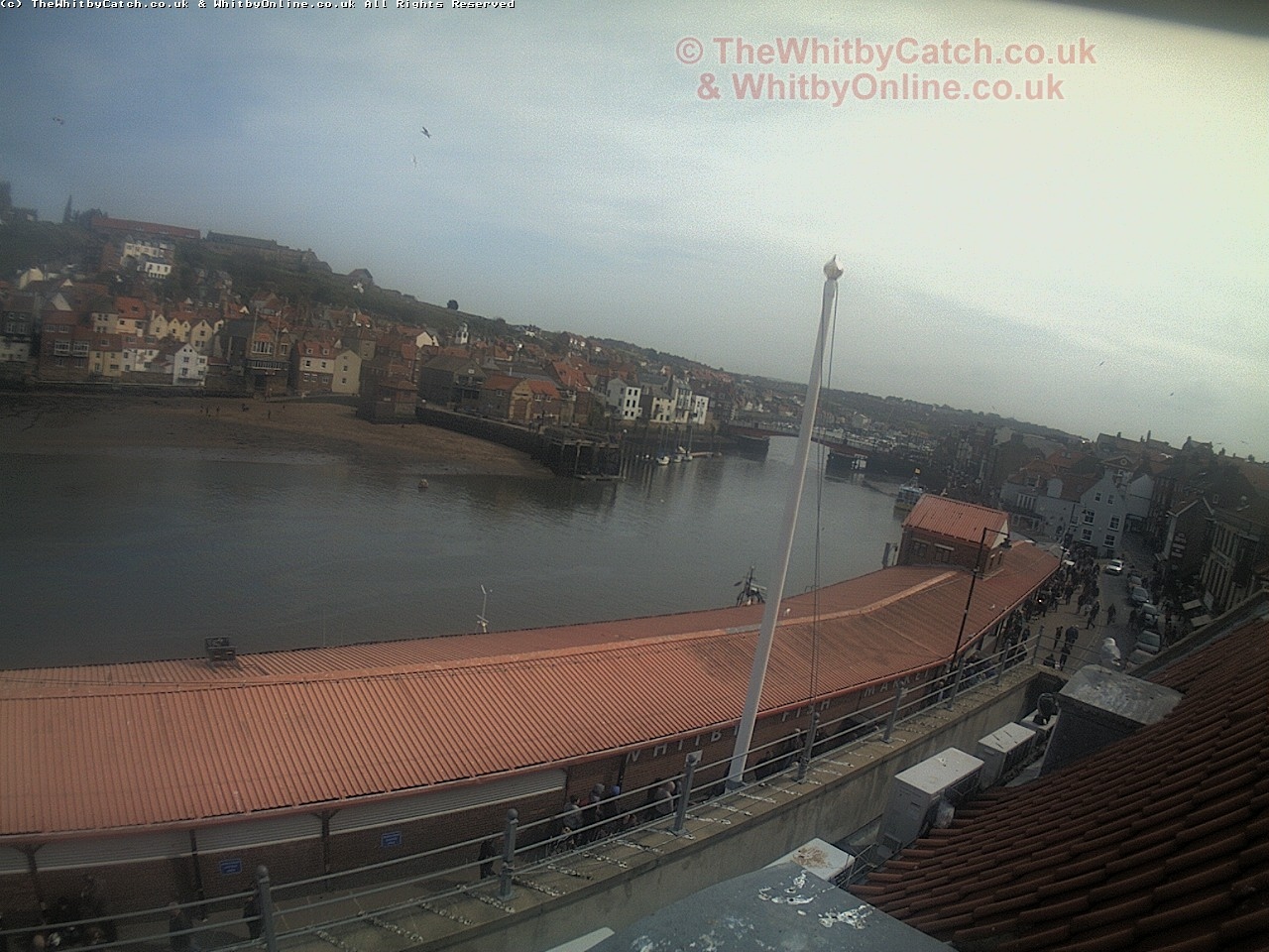 Whitby Sun 30th April 2017 14:42.