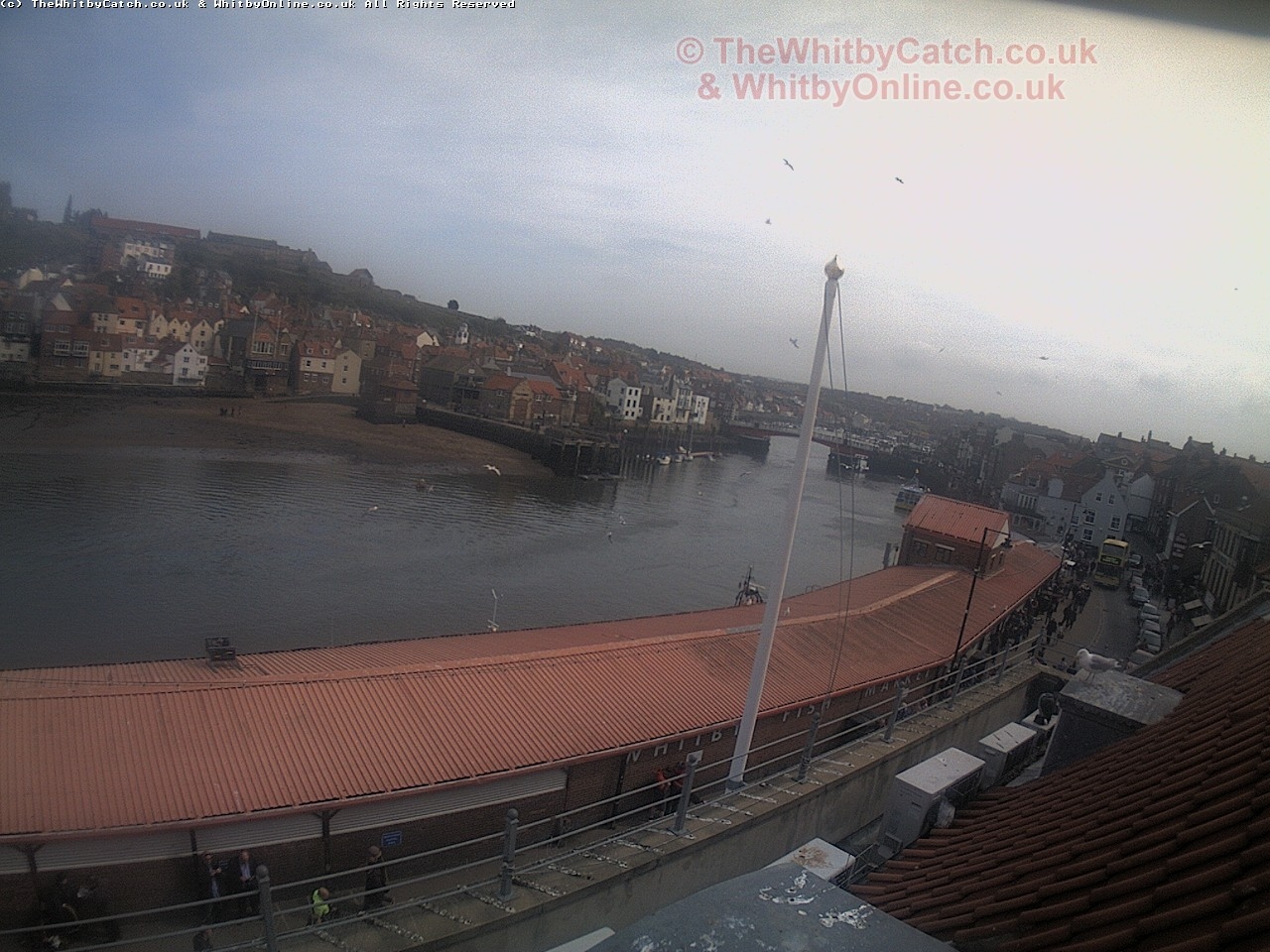 Whitby Sun 30th April 2017 14:44.