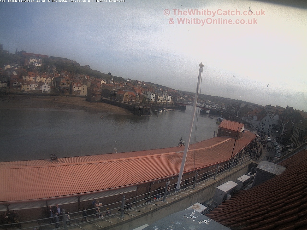 Whitby Sun 30th April 2017 14:46.