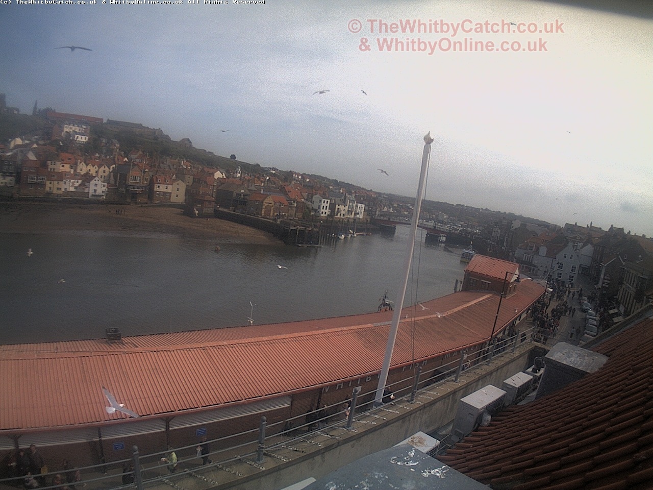 Whitby Sun 30th April 2017 14:47.