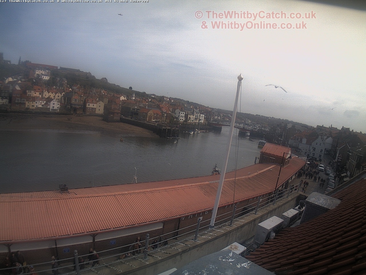 Whitby Sun 30th April 2017 14:48.