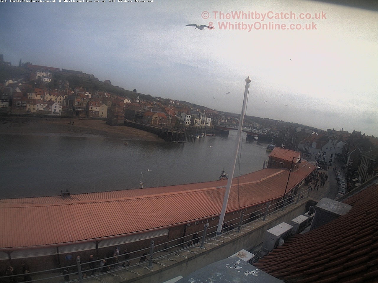 Whitby Sun 30th April 2017 14:49.