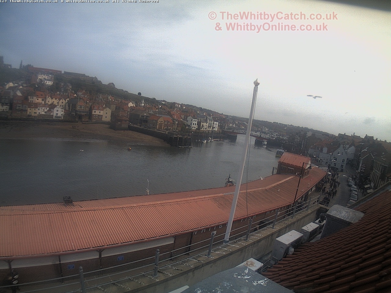 Whitby Sun 30th April 2017 14:50.