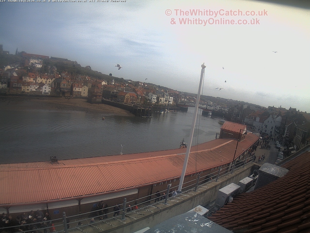 Whitby Sun 30th April 2017 14:56.