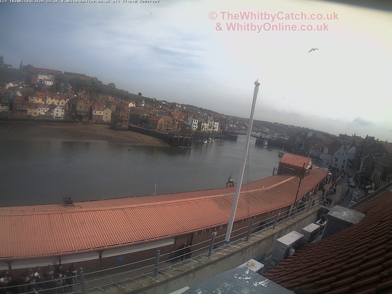 Whitby Sun 30th April 2017 14:57.