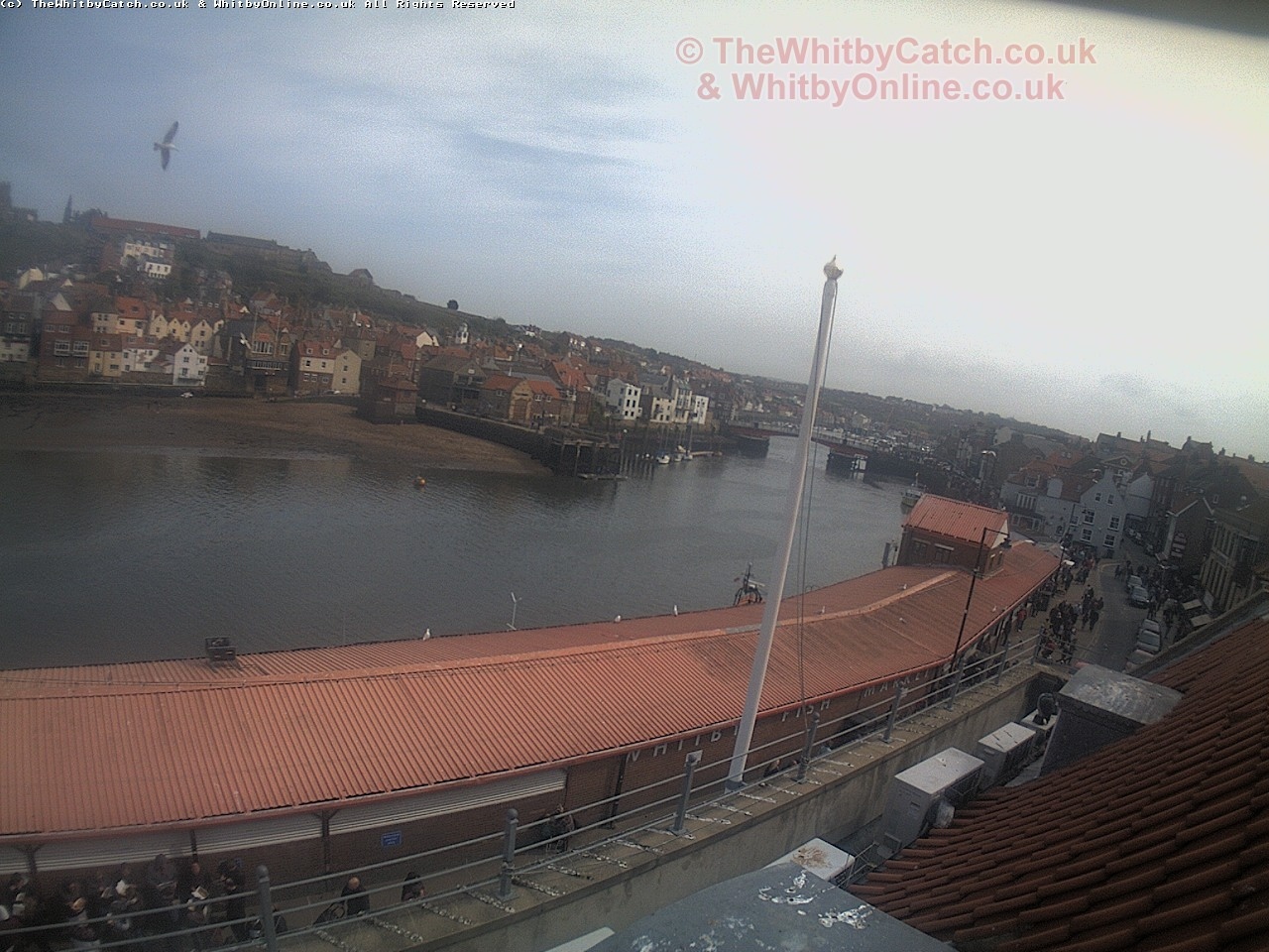 Whitby Sun 30th April 2017 14:59.