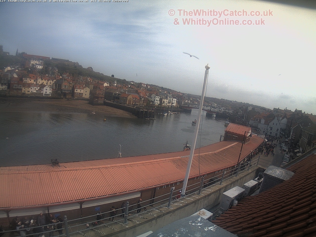 Whitby Sun 30th April 2017 15:03.