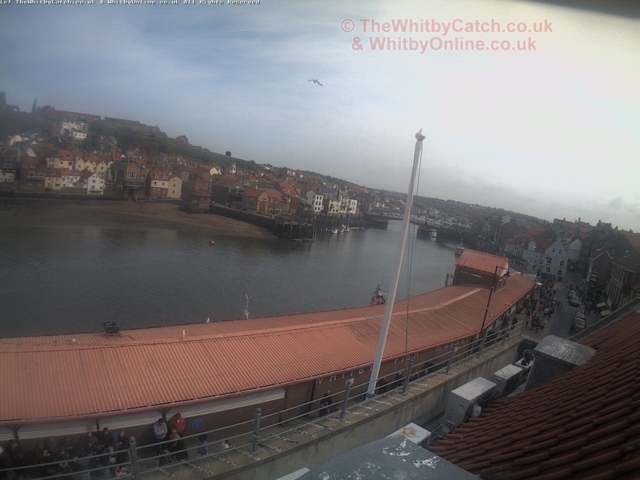 Whitby Sun 30th April 2017 15:07.