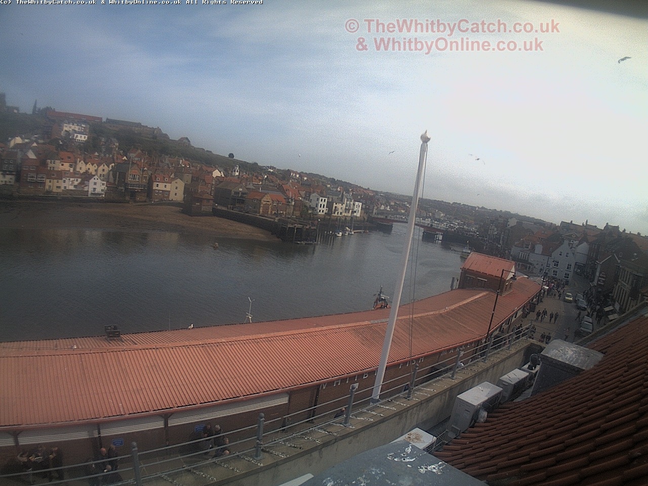 Whitby Sun 30th April 2017 15:10.