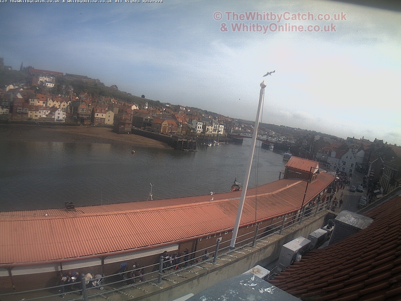 Whitby Sun 30th April 2017 15:16.