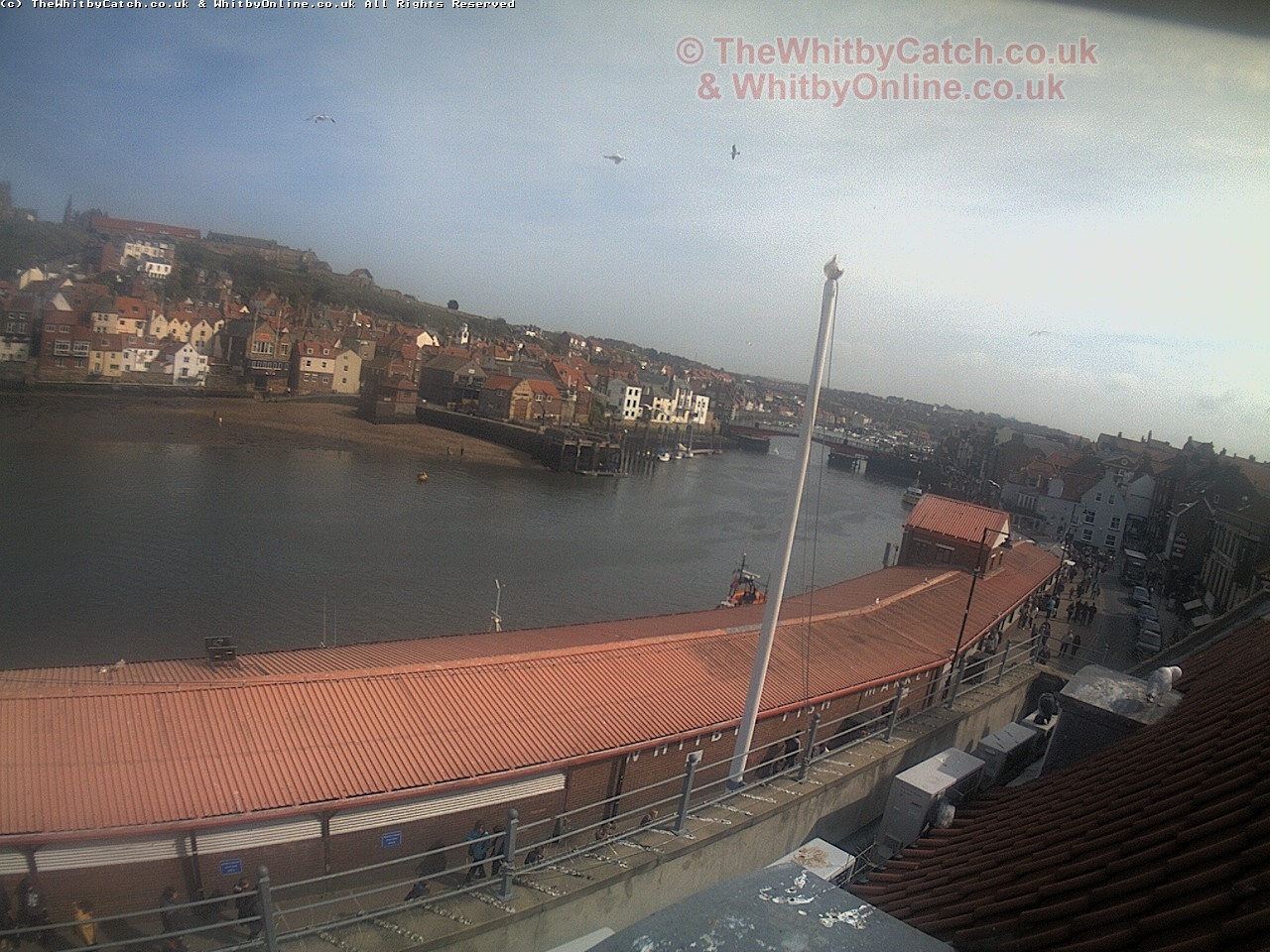 Whitby Sun 30th April 2017 15:34.