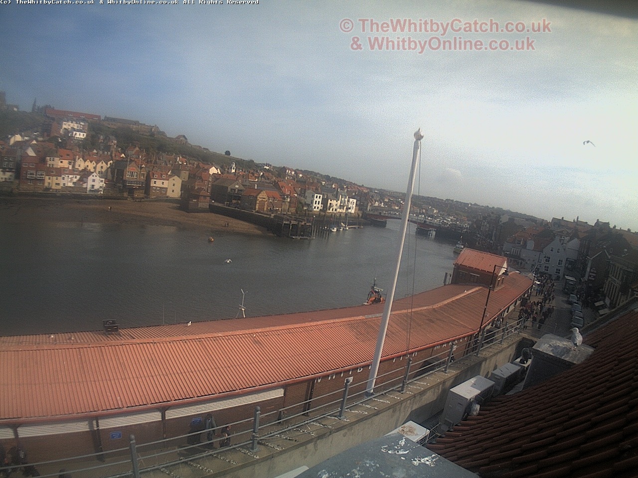 Whitby Sun 30th April 2017 15:35.