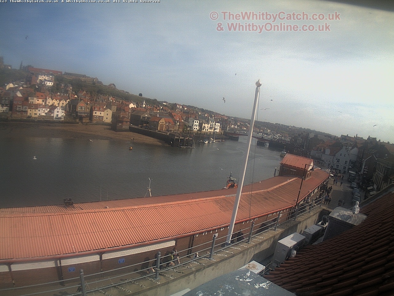 Whitby Sun 30th April 2017 15:36.