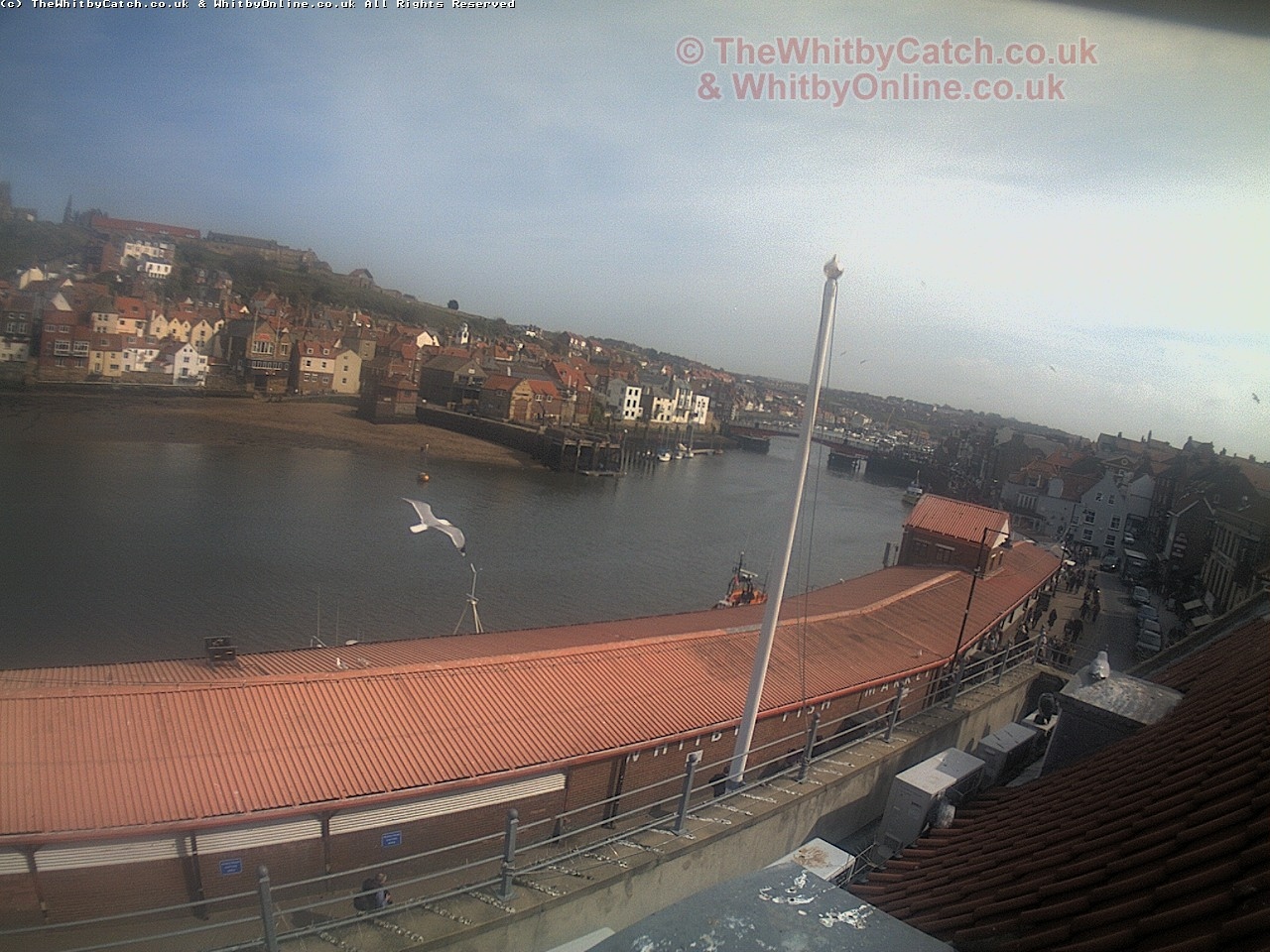 Whitby Sun 30th April 2017 15:37.