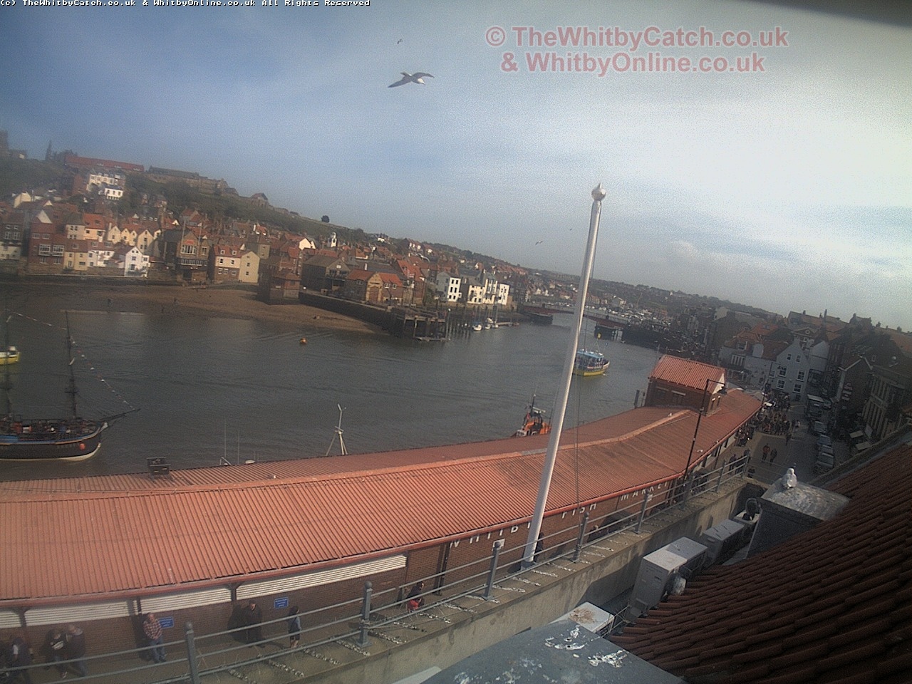 Whitby Sun 30th April 2017 15:50.