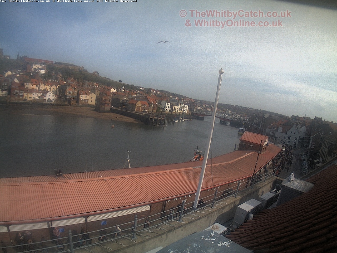 Whitby Sun 30th April 2017 15:53.