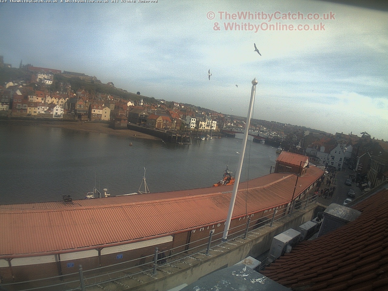 Whitby Sun 30th April 2017 16:14.