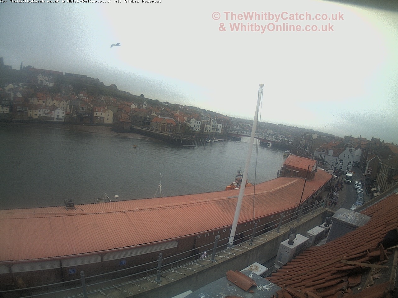 Whitby Mon 1st May 2017 11:31.