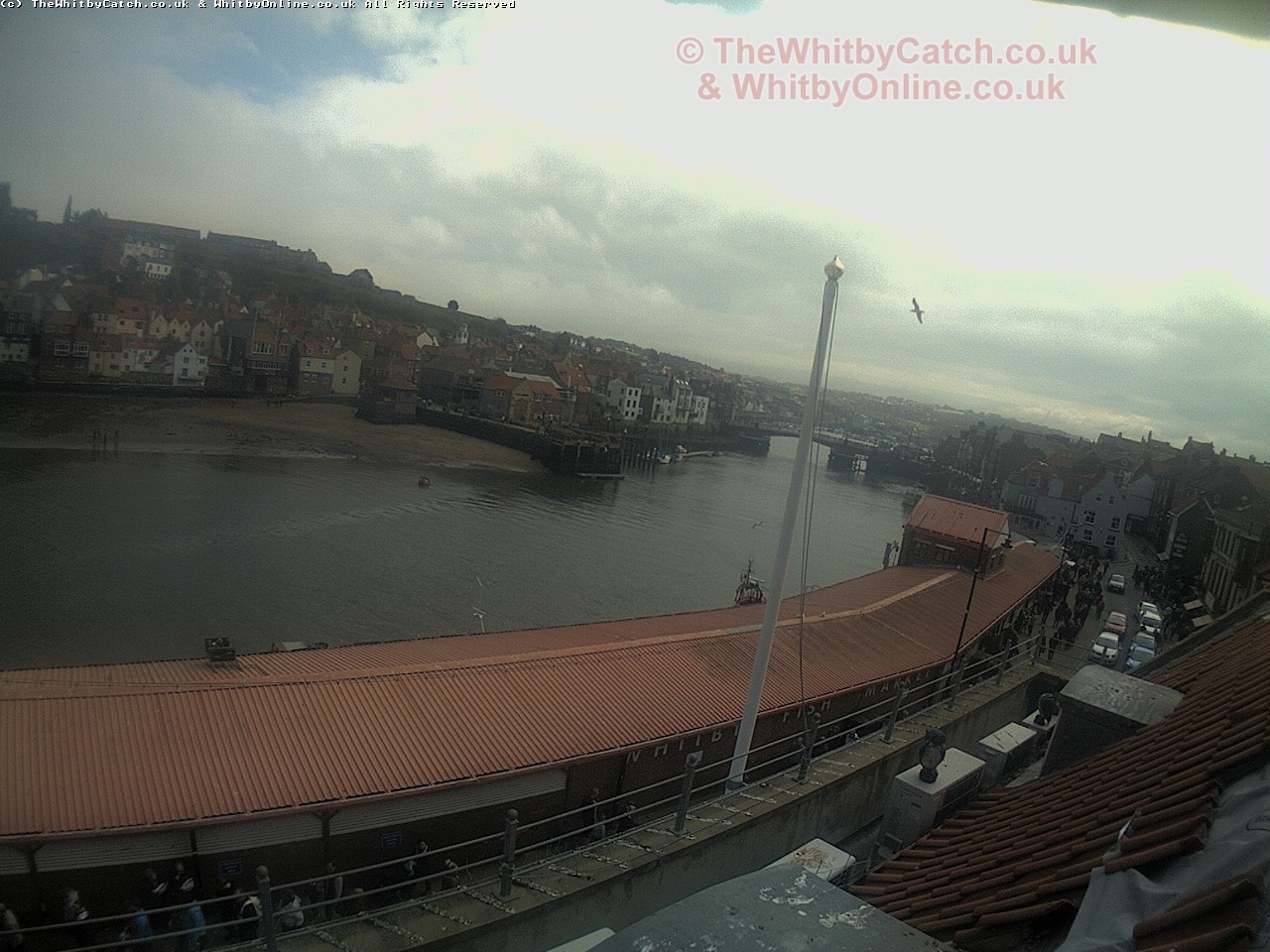 Whitby Mon 1st May 2017 13:30.