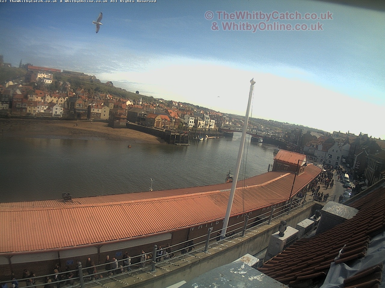 Whitby Mon 1st May 2017 14:09.