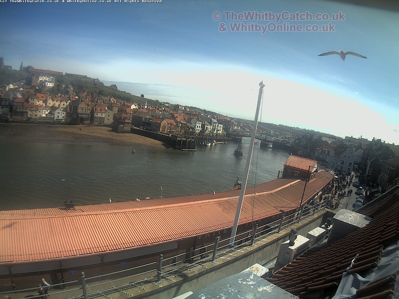 Whitby Mon 1st May 2017 14:13.