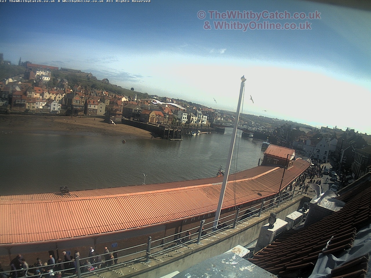 Whitby Mon 1st May 2017 14:30.