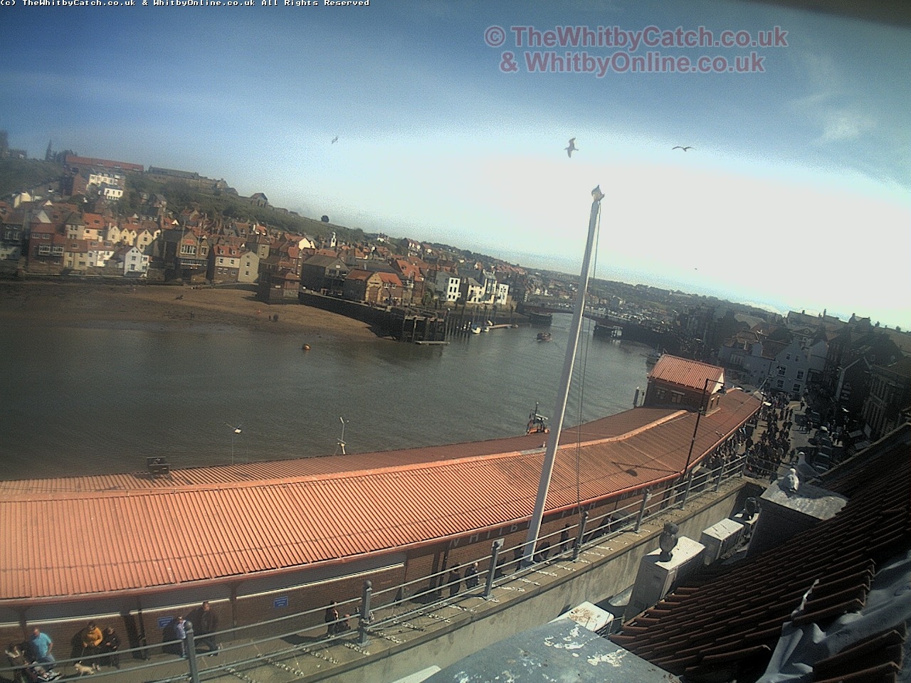 Whitby Mon 1st May 2017 14:46.